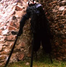 05.jpg